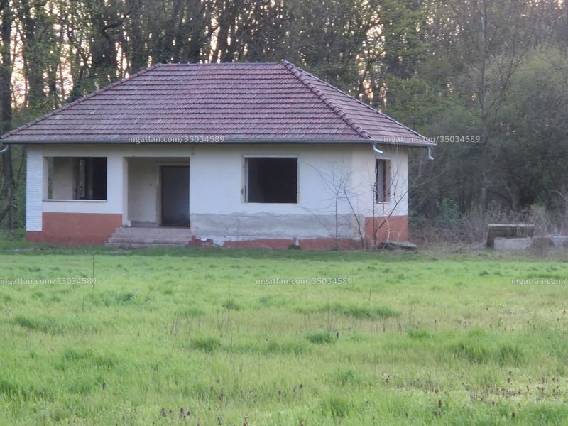 Ingatlan kép