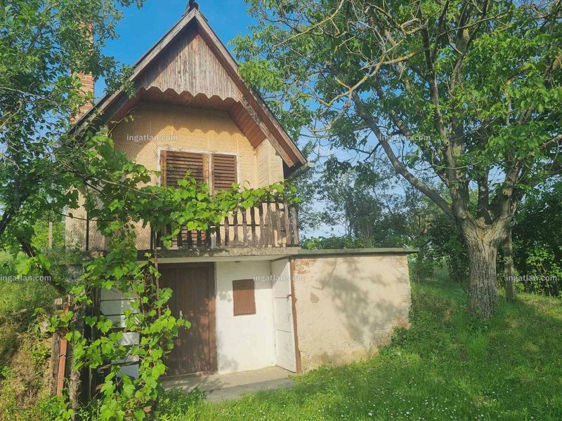Ingatlan kép