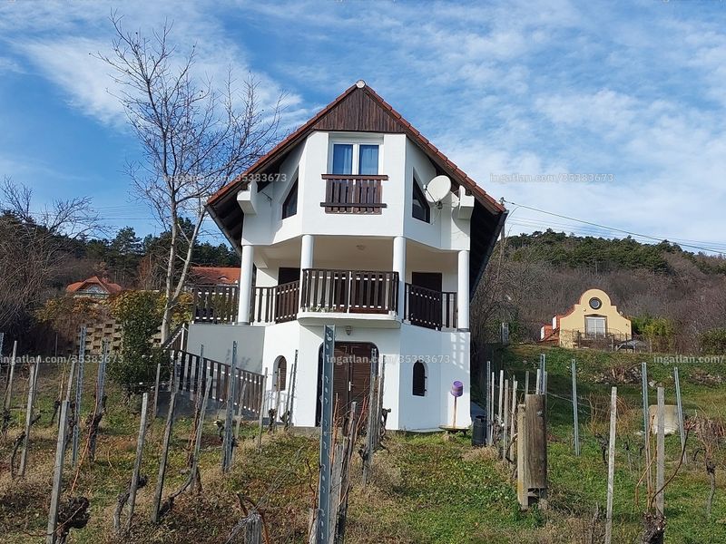 Ingatlan kép