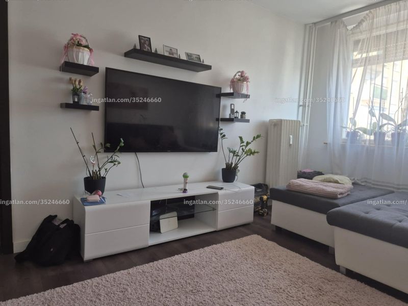 Ingatlan kép