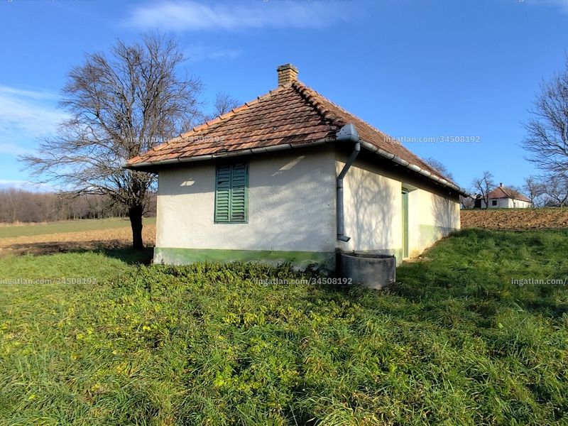 Ingatlan kép