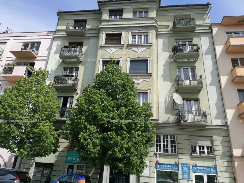 Ingatlan kép