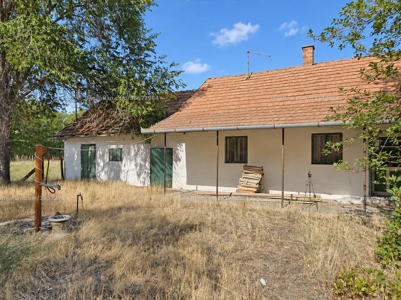 Ingatlan kép