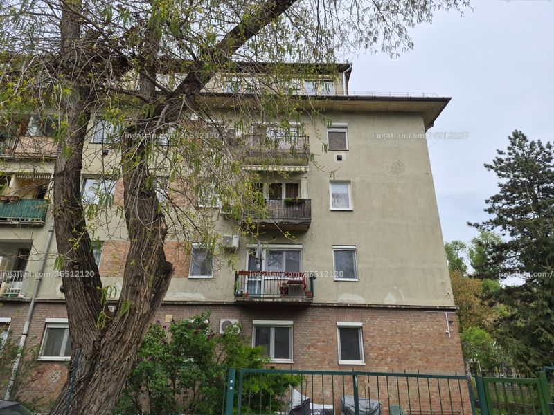 Ingatlan kép
