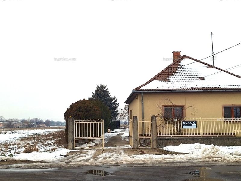 Ingatlan kép