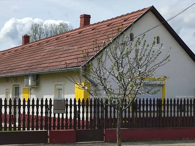 Ingatlan kép