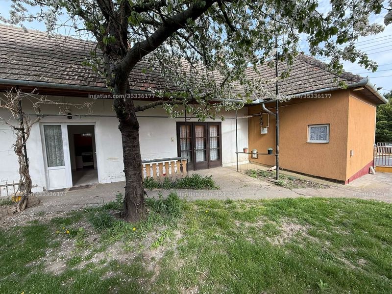 Ingatlan kép
