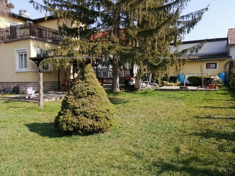 Ingatlan kép