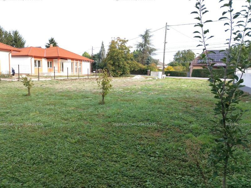 Ingatlan kép
