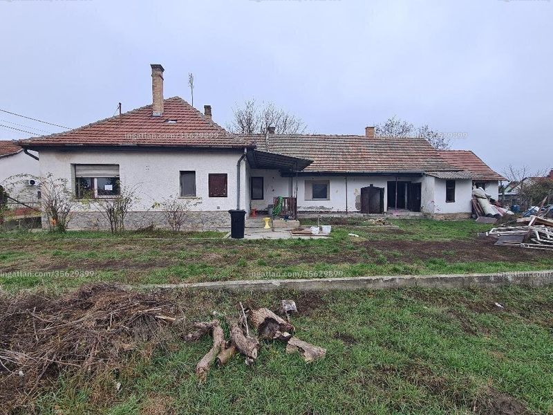 Ingatlan kép