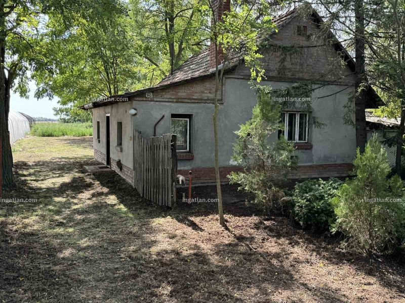 Ingatlan kép