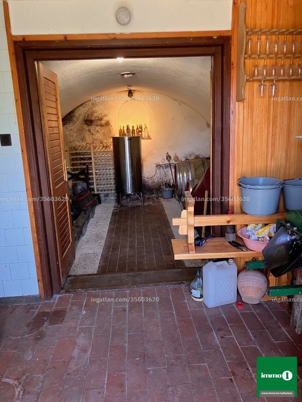 cellar