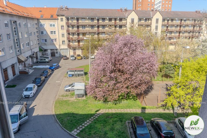 Foto auflisten
