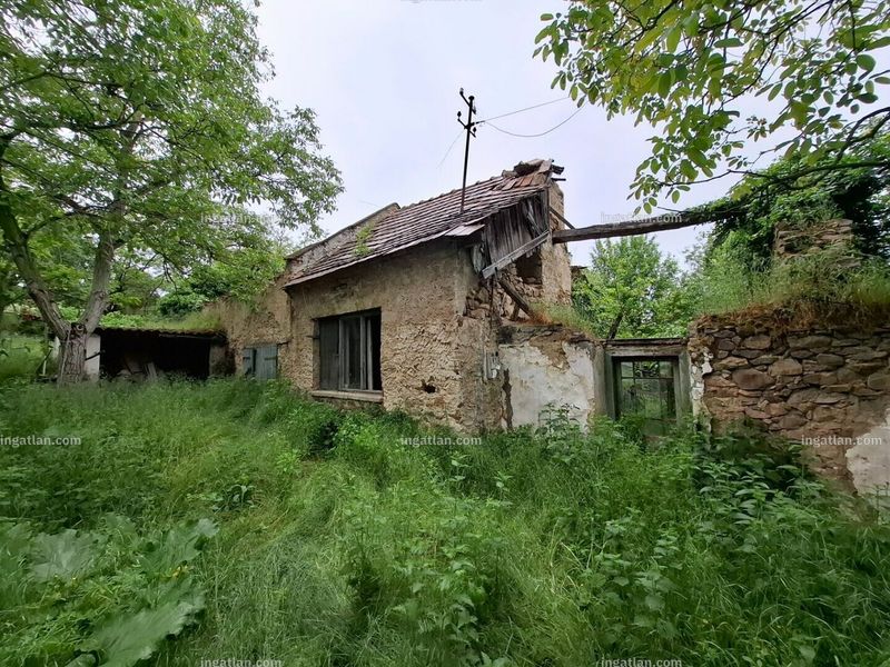 Hirdetés fotója