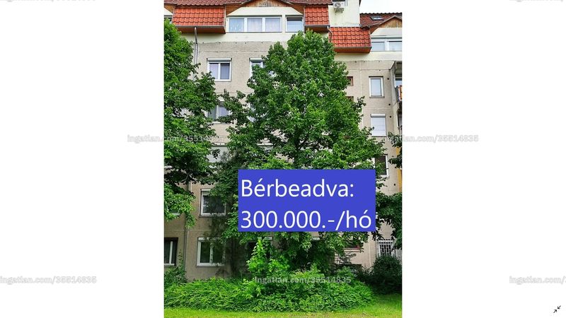 Ingatlan kép