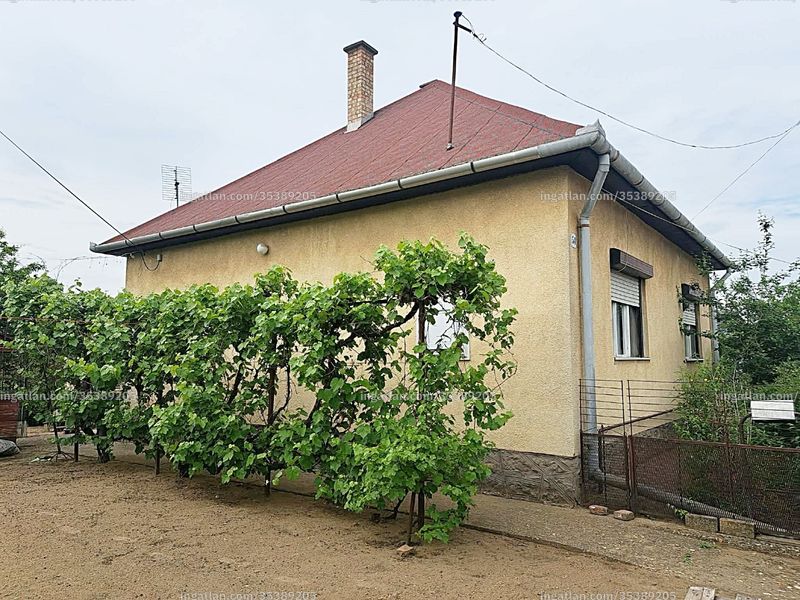 Foto auflisten