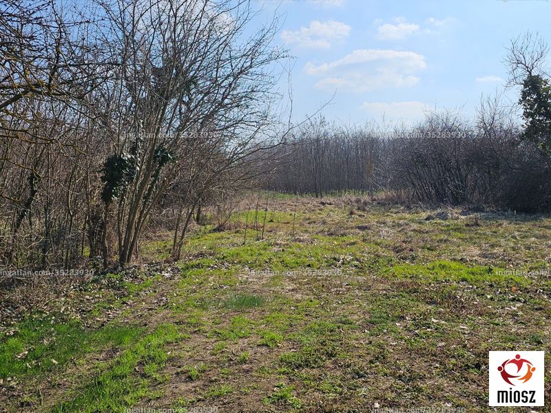 Bild über die Immobilie