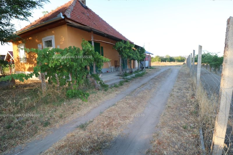 Foto auflisten