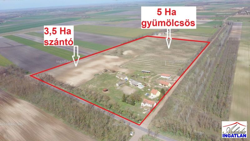 Kép az ingatlanról