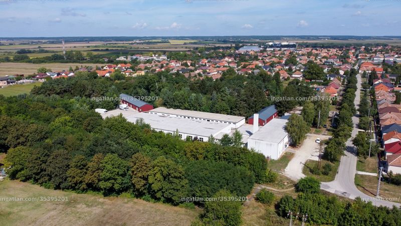 Kép az ingatlanról