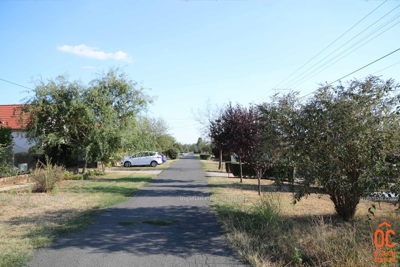 neighborhood