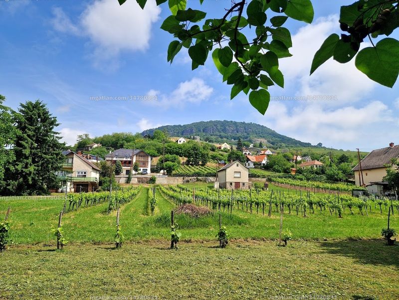 kilátás