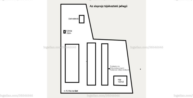 Bild über die Immobilie