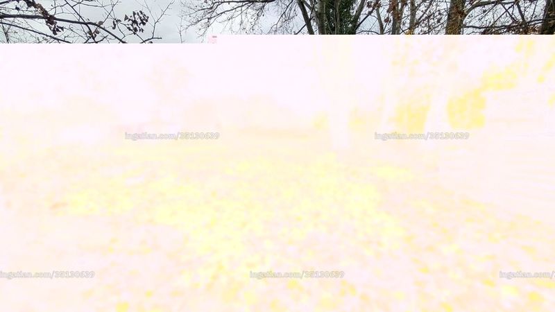 Bild über die Immobilie