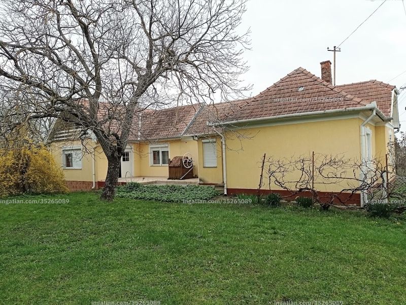 Ingatlan kép