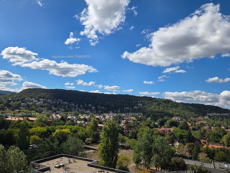 kilátás