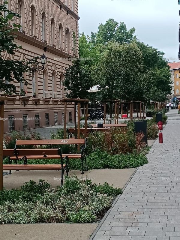 Foto auflisten