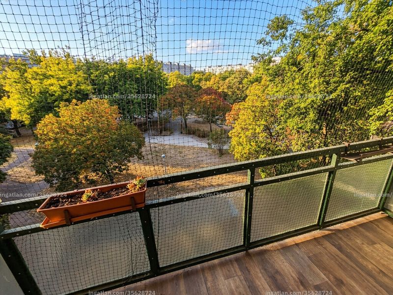 Foto auflisten