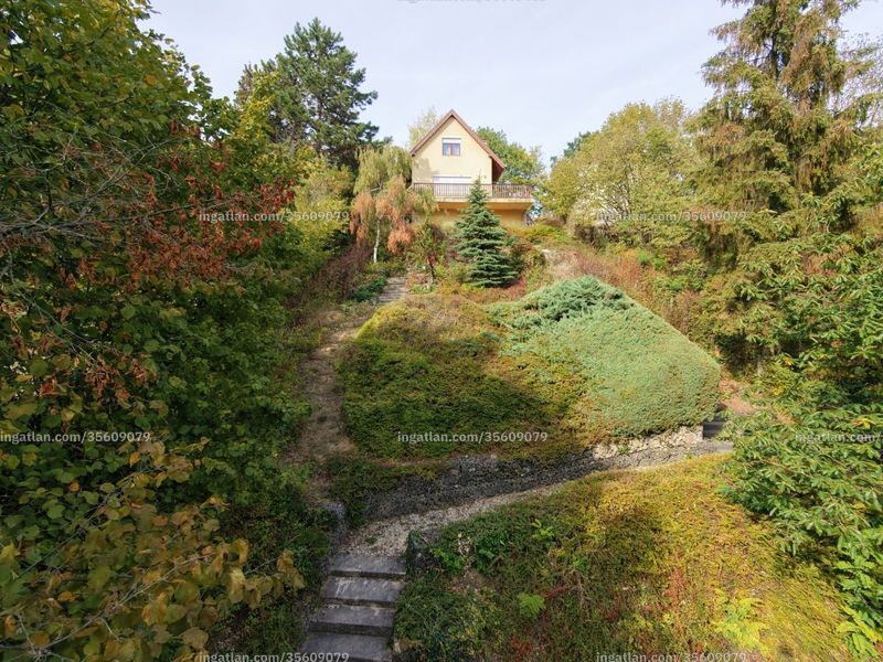 Foto auflisten