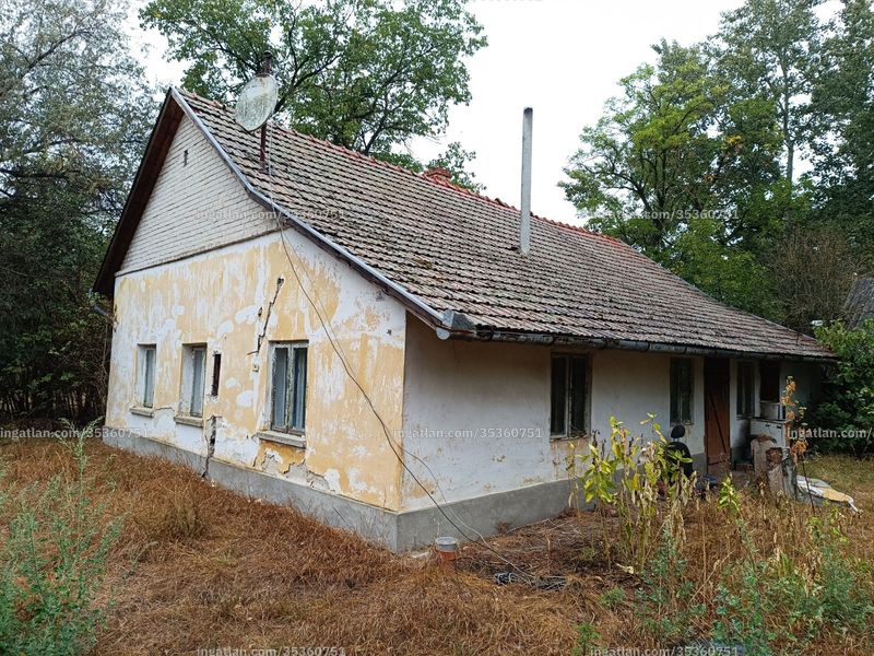 Foto auflisten