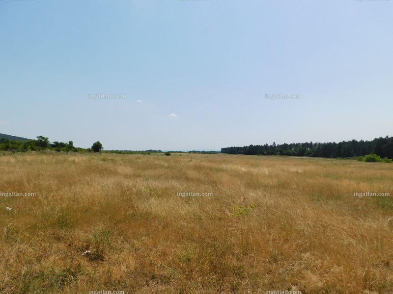 kilátás