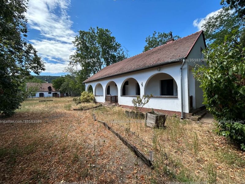 Ingatlan kép