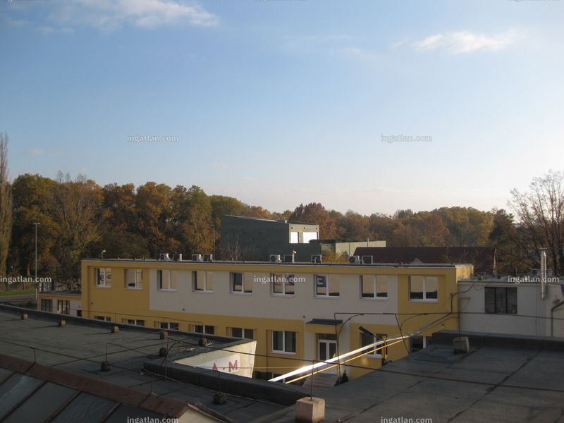 kilátás
