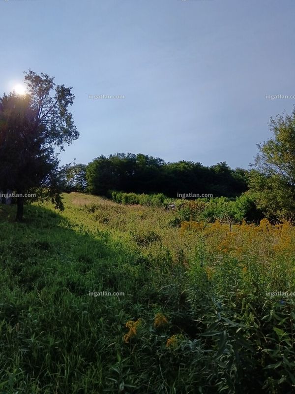 Foto auflisten