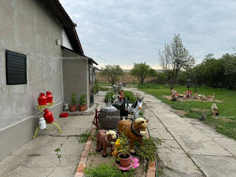 Kép az ingatlanról