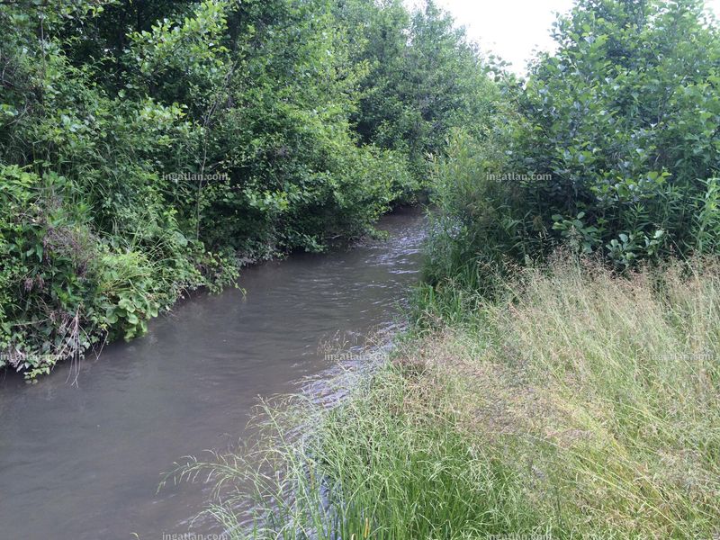 Hirdetés fotója