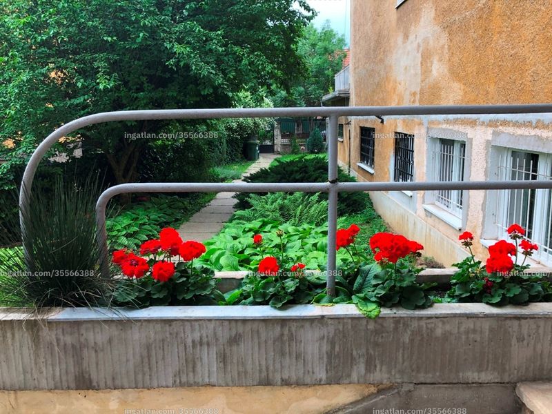 Foto auflisten