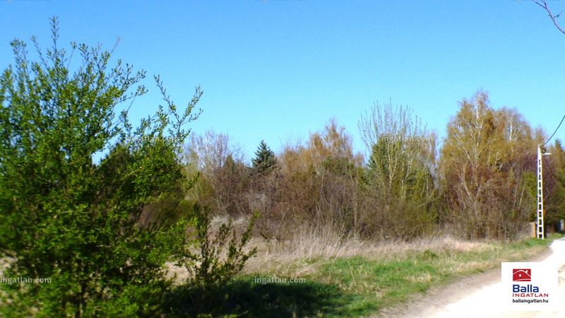 Foto auflisten