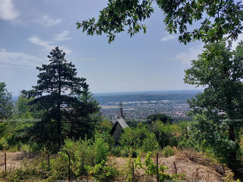 Foto auflisten