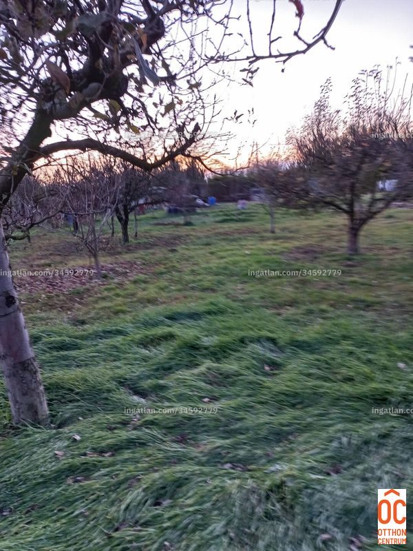Hirdetés fotója