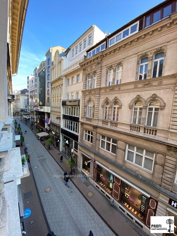 kilátás