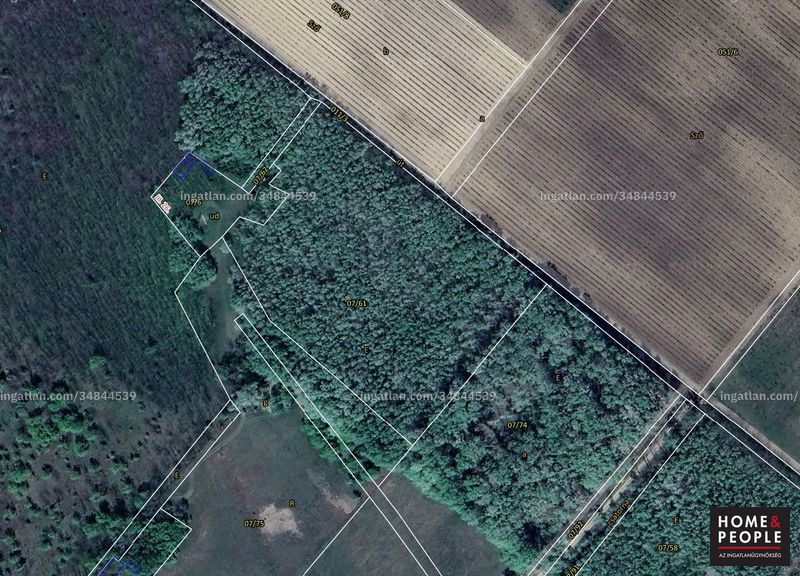 Picture of the real estate