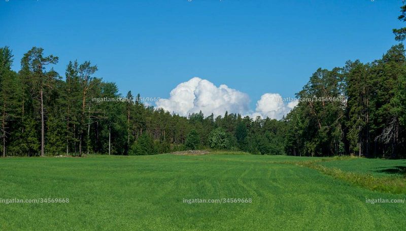 Foto auflisten