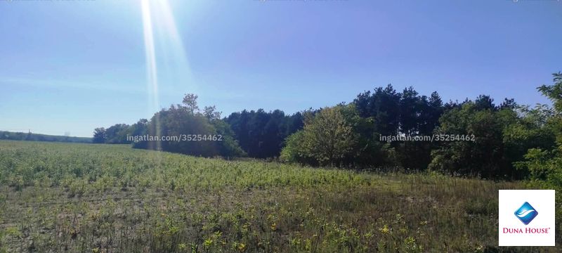 Bild über die Immobilie