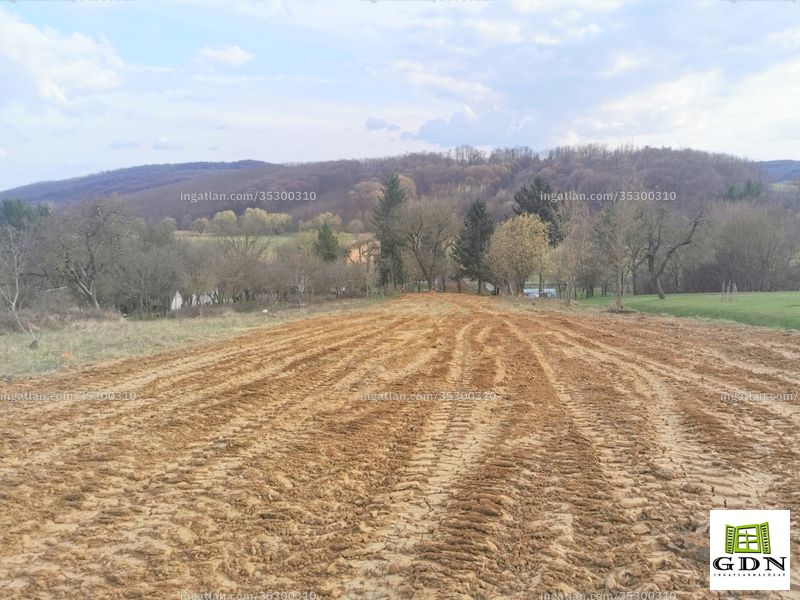 Bild über die Immobilie