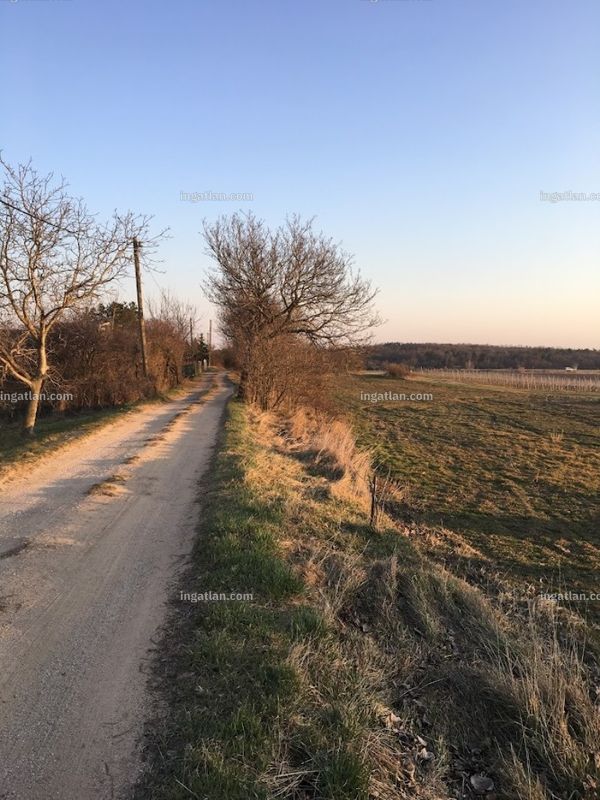 Foto auflisten